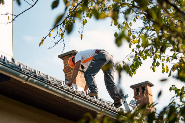 Best Metal Roofing Contractor  in Maury, NC