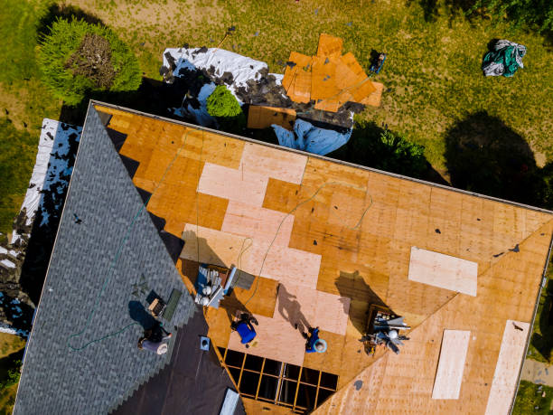 Best Roof Waterproofing Services  in Maury, NC