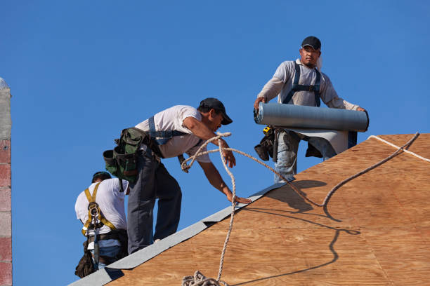 Trusted Maury, NC Roofing Contractor Experts