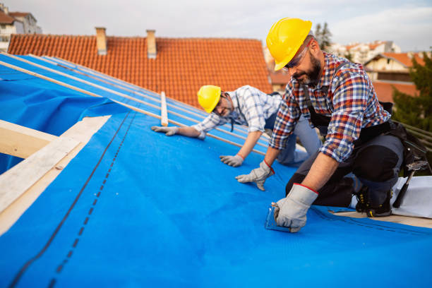 Best Commercial Roofing Services  in Maury, NC